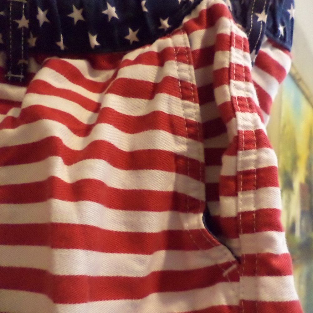 Chubbies Shorts - Red, White And Blue - American Flag - Stars + Spripes -Xxl View 5